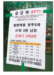 판떼기 이미지